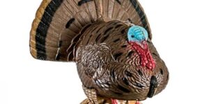 Rinehart Woodland Strutting Turkey 3D Target (Blemished)