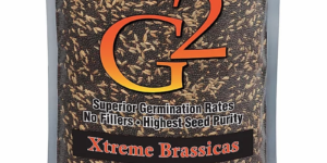 Real Deal G2 Xtreme Brassica 4lb – ½ Acre