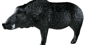 Rinehart Woodland Boar 3D Target (Blemished)