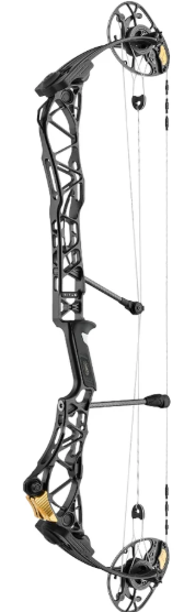 Mathews TITLE 36