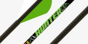 Gold Tip Hunter Xt 300 Spine 6 Pack