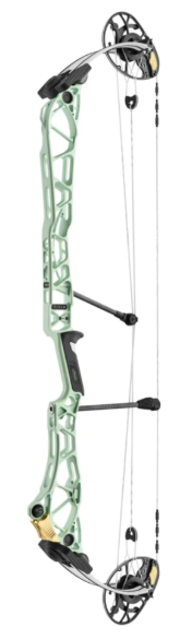 Mathews TITLE 40